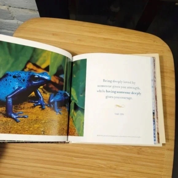 ❤️ Gift Book The Wisdom of Moms from NatGeo - Picture 8 of 8